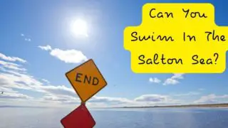 Can-You-Swim-In-The-Salton-Sea