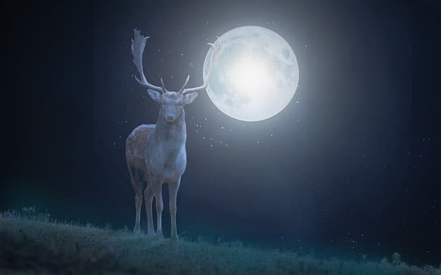 what research says about feeding deer on full moon