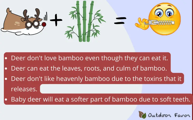 Image talks about all the faqs related "deer eating bamboo"