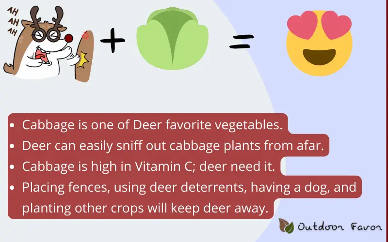 This image contains all the facts to support deer and cabbage relationship.