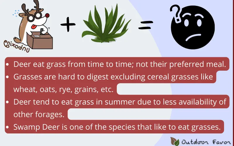 Image covers the facts about deer eating grass.