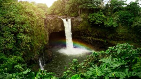 Can You Swim In Rainbow Falls, Hawaii? (Rules + Best Time)