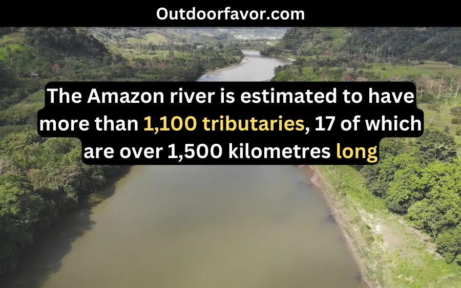 Amazon fun fact 1
