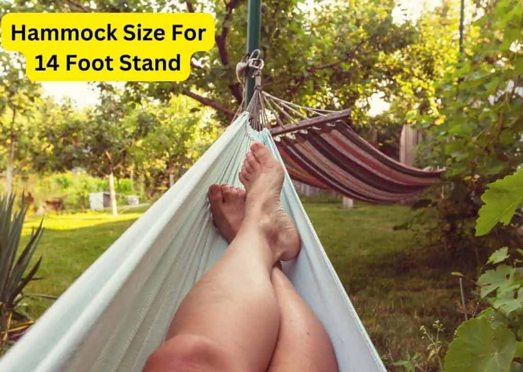 Hammock Size For 14 Foot Stand