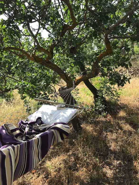 What can be used instead of topquilts in hammock for comparable warmth and comfort. Like in this picture a dark shade blanket has been used to provide some amount of warmth
