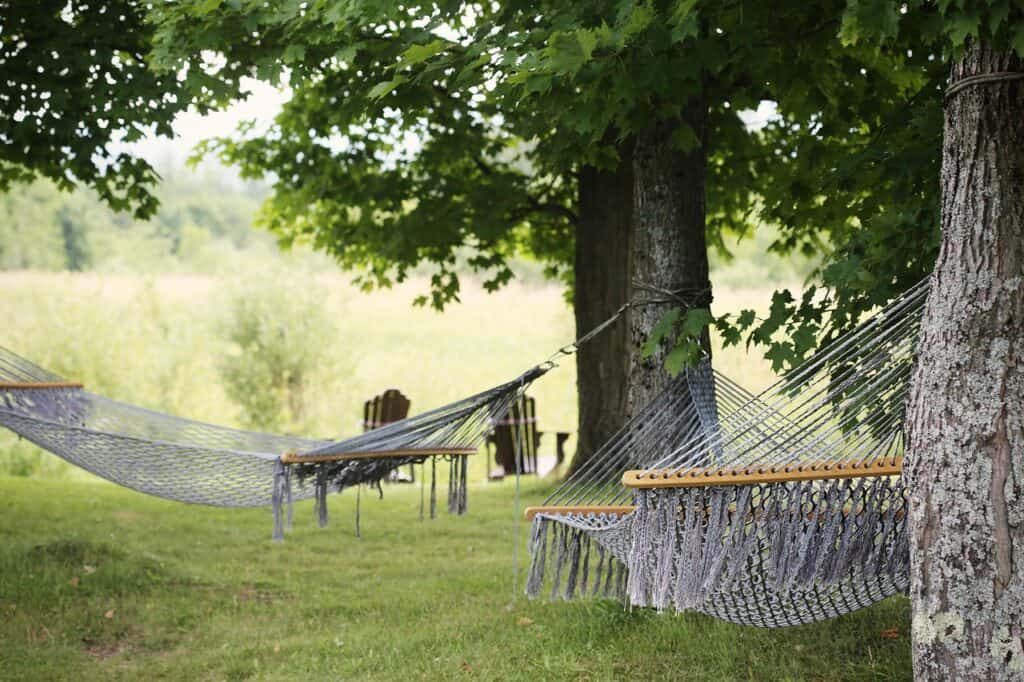 different types of hammocks hanging and surrounded by greenery